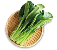 Hitachi Refrigerator